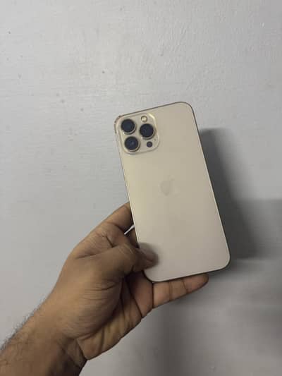 iPhone 13 Pro Max