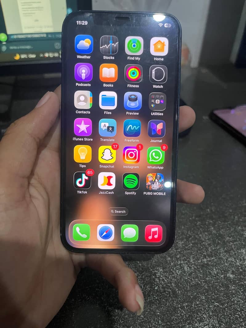 Apple iPhone 12 1