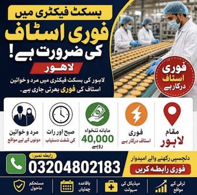 Buiscuit factory urgent hiring bread packing male female factory job