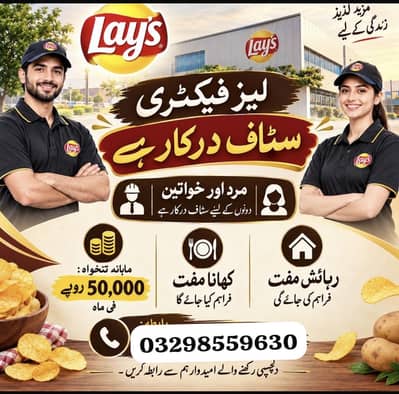 hiring in lays factory male female factory work packing job