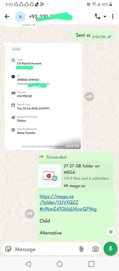 Pakistani data