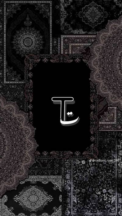 Tanzeel Raza