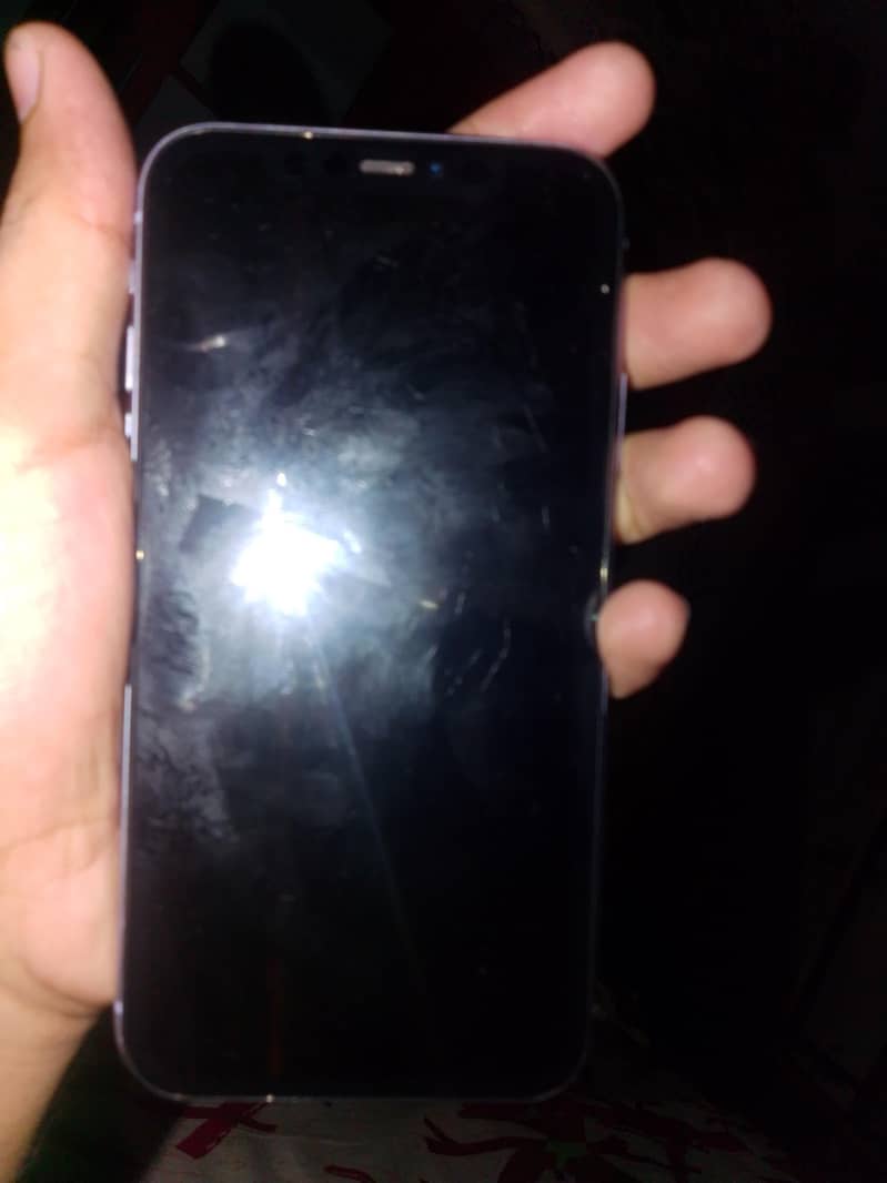 Apple iPhone 11 1