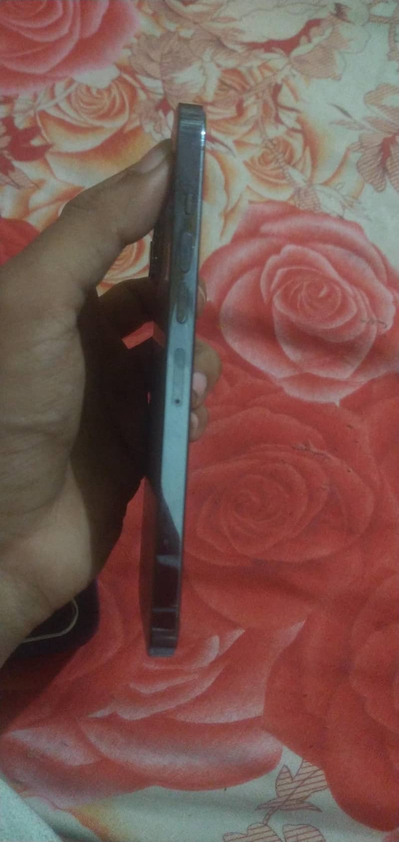 Apple iPhone 13 Pro Max 2