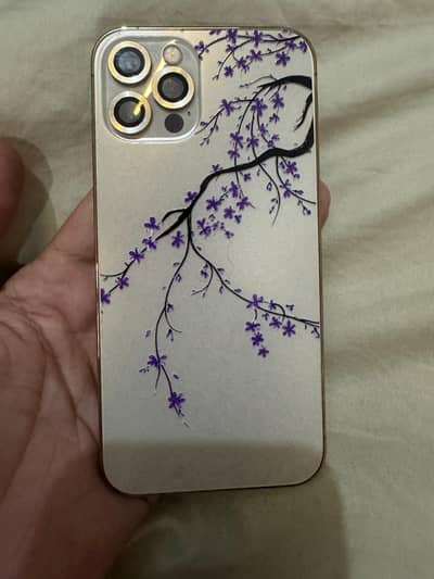 Apple iPhone 12 Pro