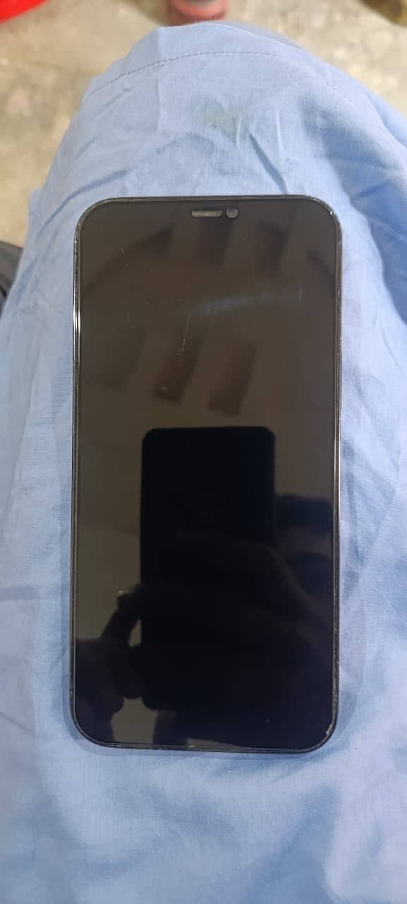 Apple iPhone 12 Pro Max 3