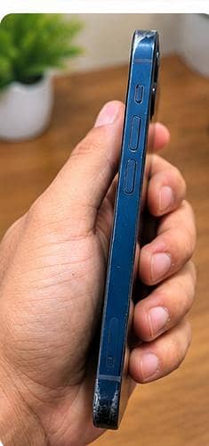 Apple iPhone 12 1
