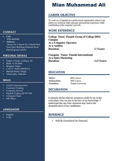 need Job in lahore