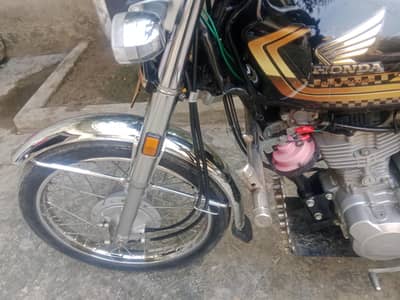 Honda 125 gold addition 24/25
