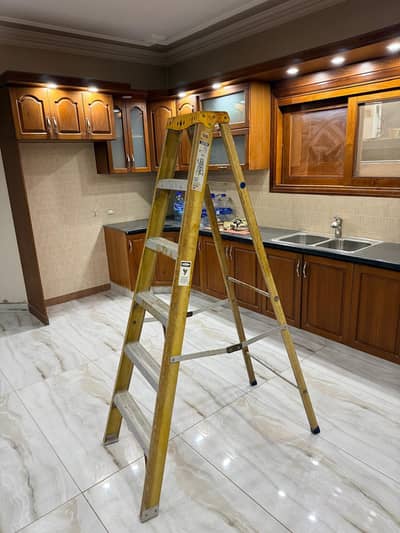 Fiber Glass ladder