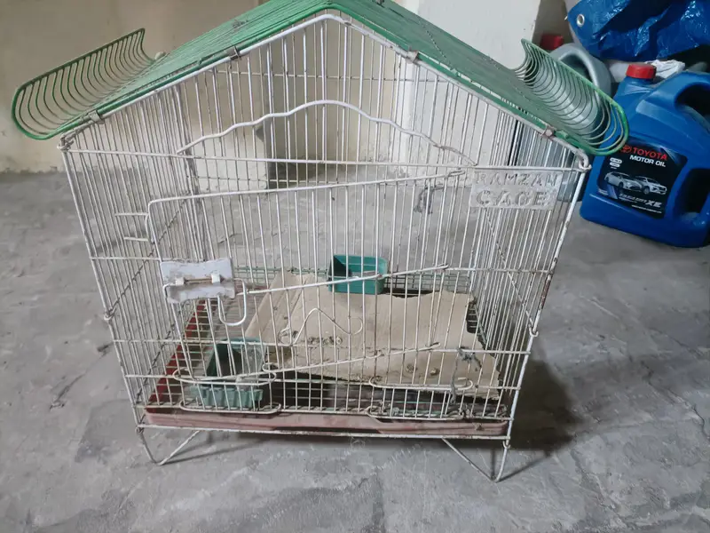 Pingra for sale — photo 3