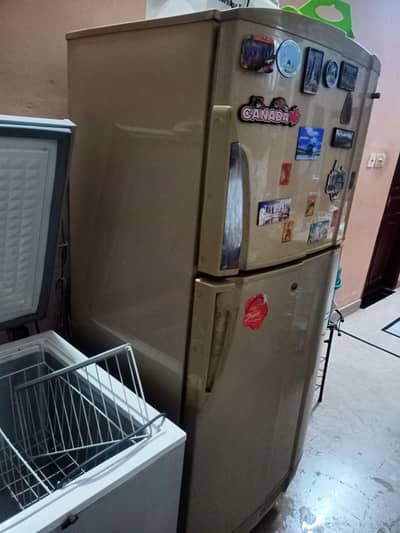 PEL Large fridge for sell