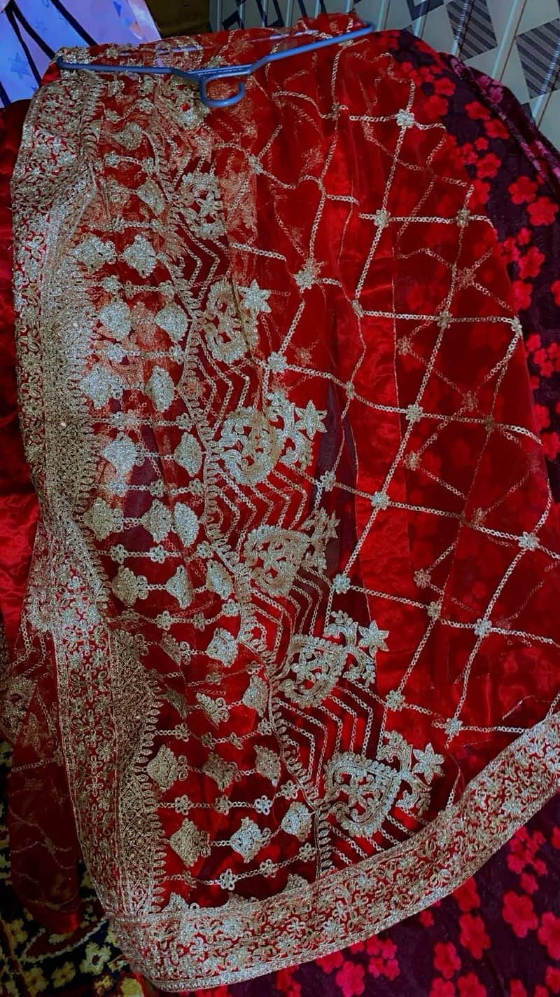 Lenga 6