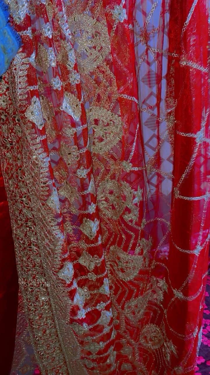 Lenga 8