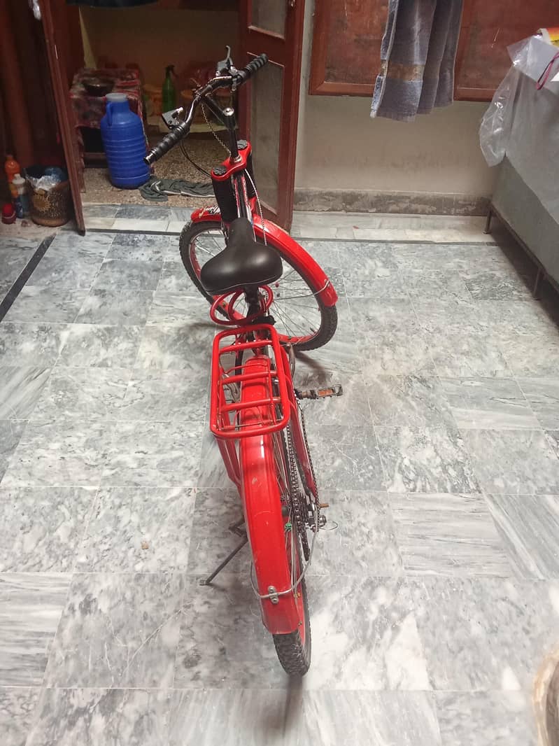 large size bicycle 2