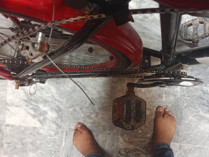 large size bicycle 4
