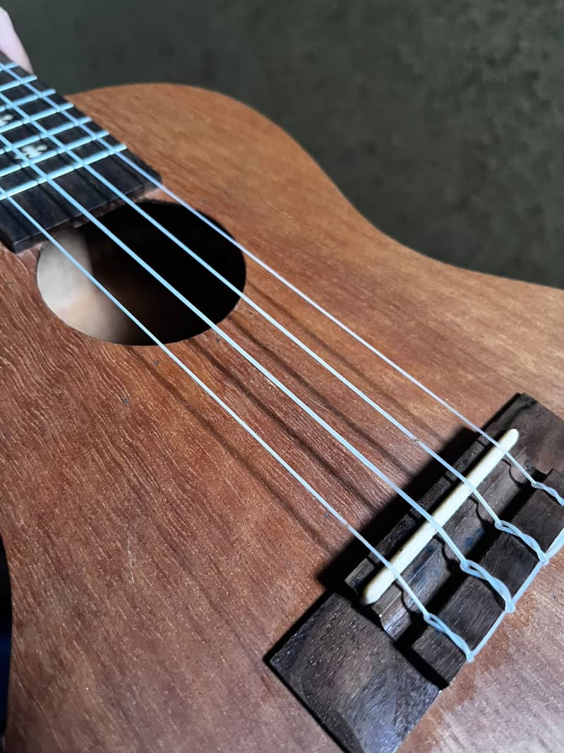 Ukulele 1