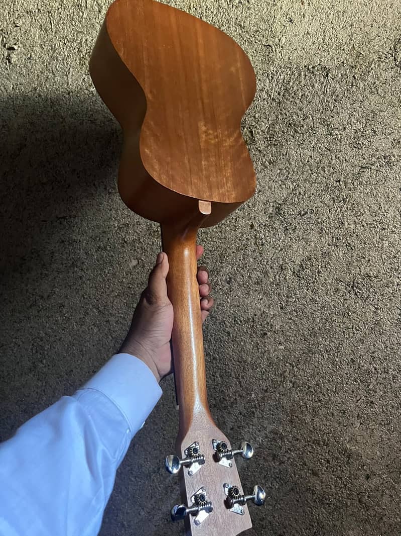 Ukulele 3