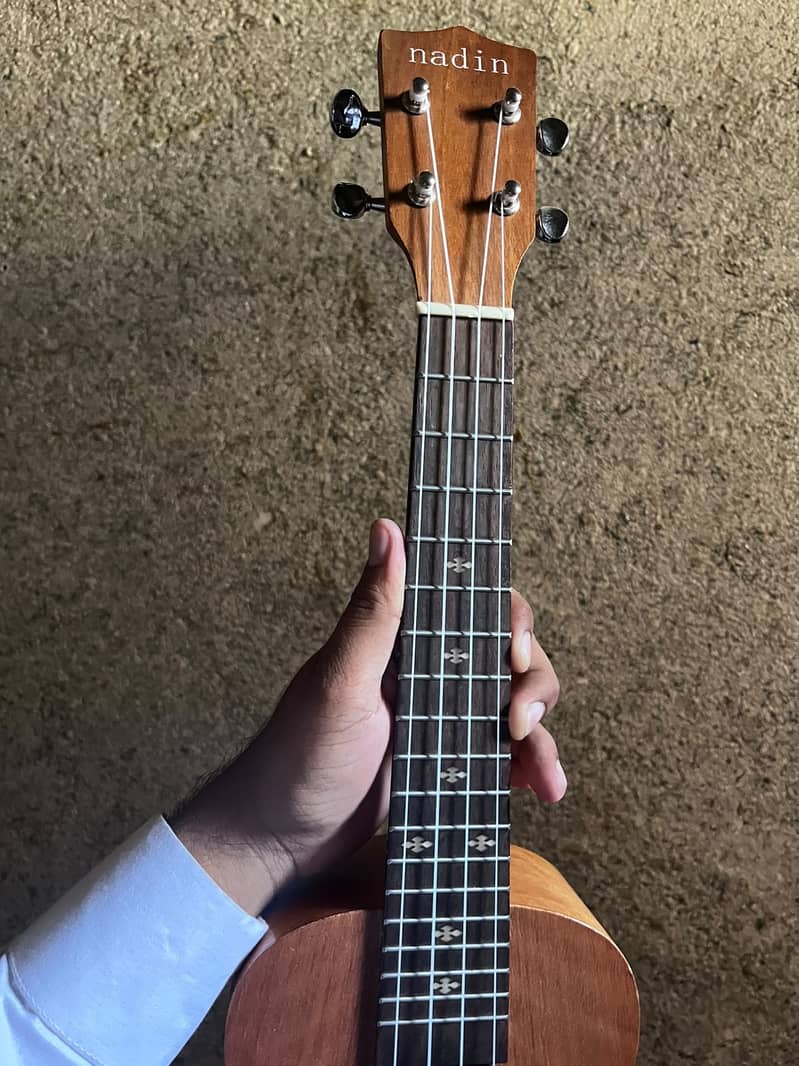 Ukulele 4