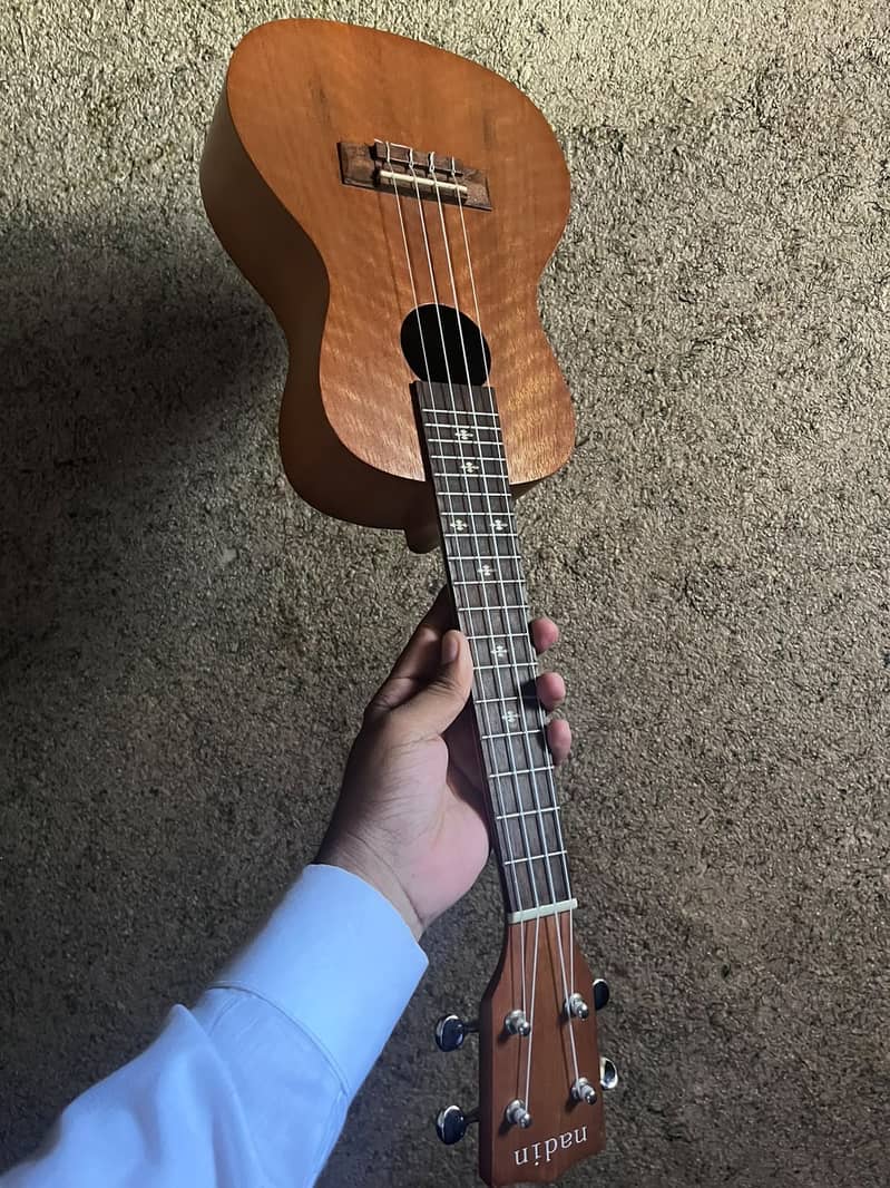 Ukulele 5