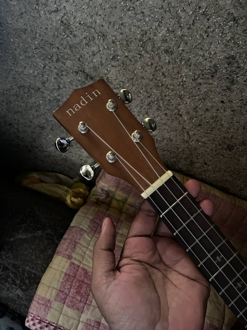 Ukulele 6