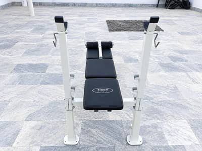 Premium Gym Bench / Multi-Purpose Workout Bench for Sale