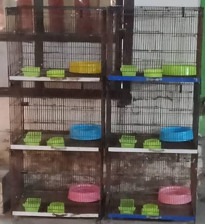 For Pigions