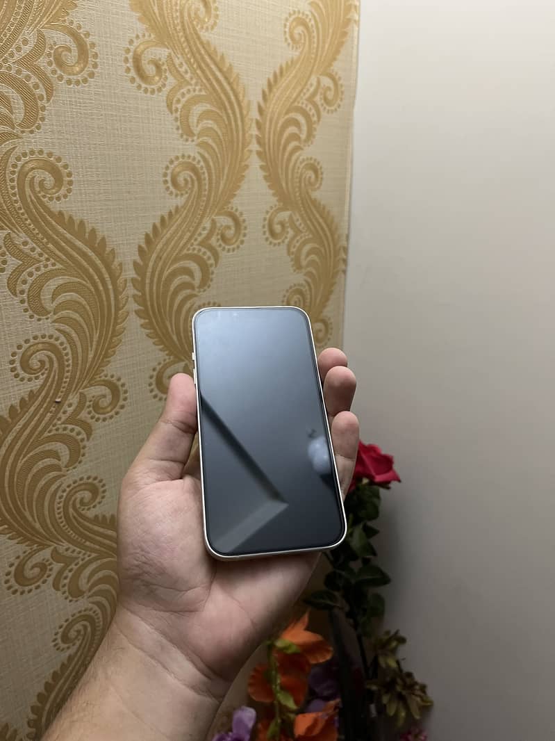 Apple iPhone 13 1