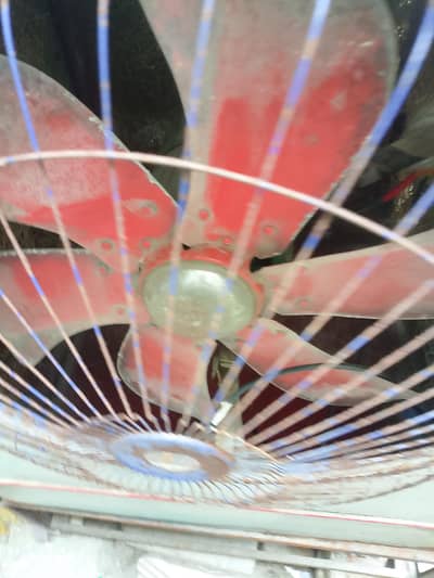 coller for sale in good condition