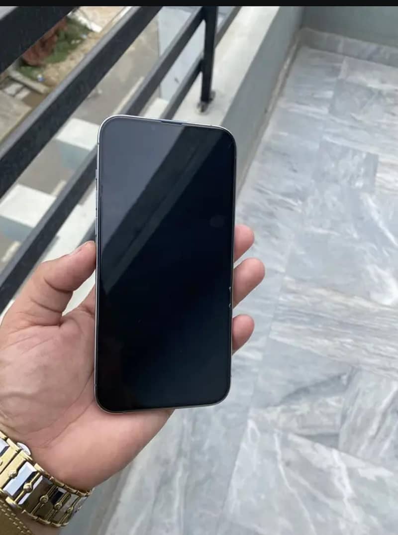 Apple iPhone 13 Pro Max 1