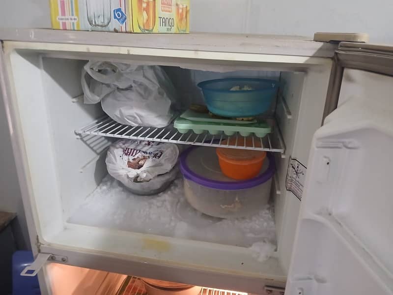 Fridge 1