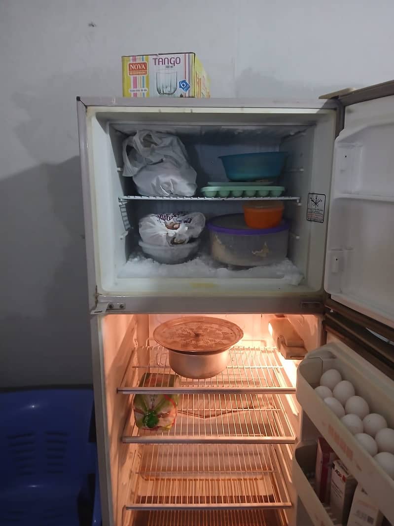 Fridge 3