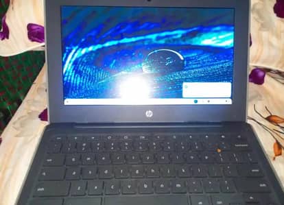 Google Other Model