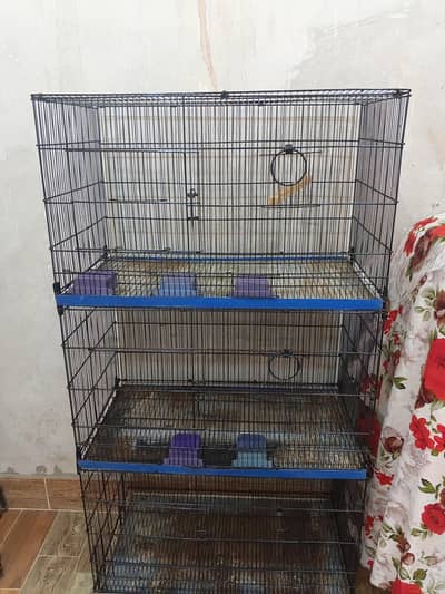Birds cage good condition