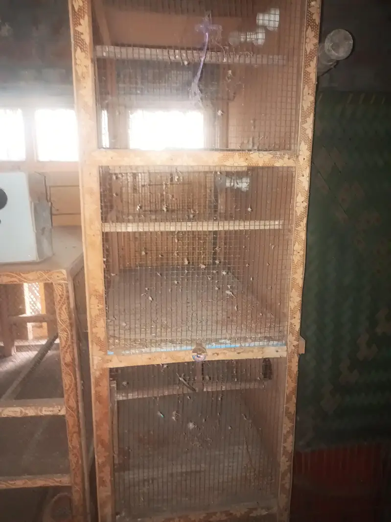wooden cage