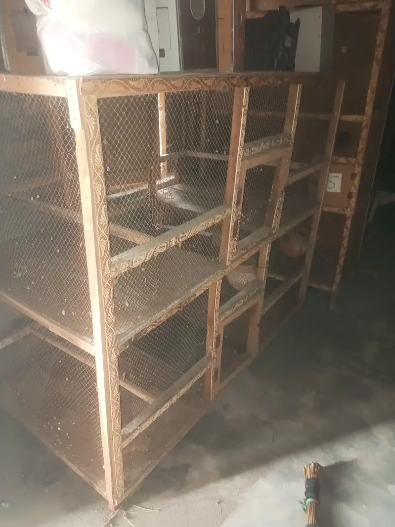 wooden cage — photo 2