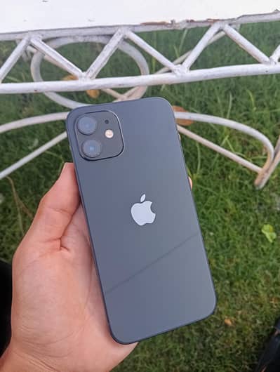 Apple iPhone 12