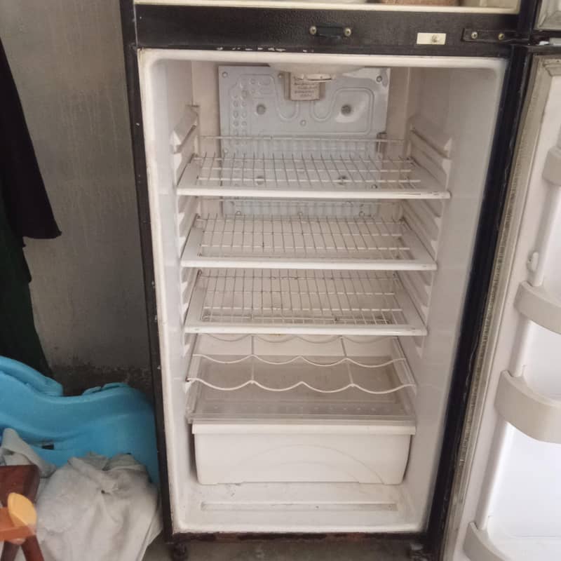 fridge 2