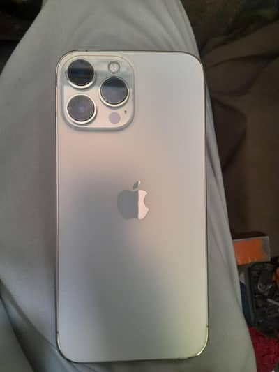 Apple iPhone 13 Pro Max