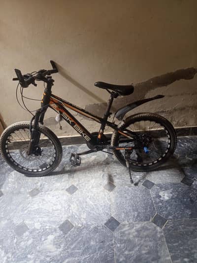 ali raza