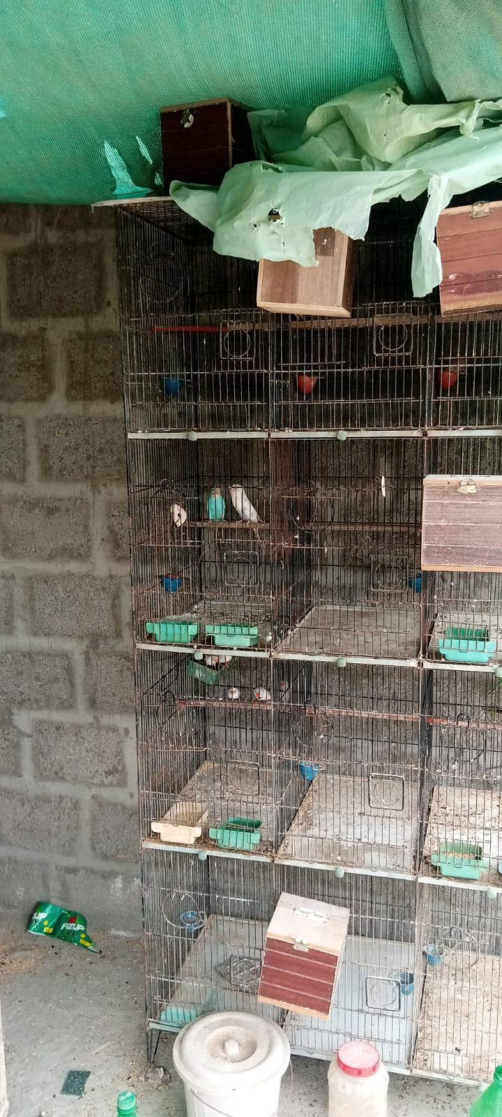 12 portion Cage 4