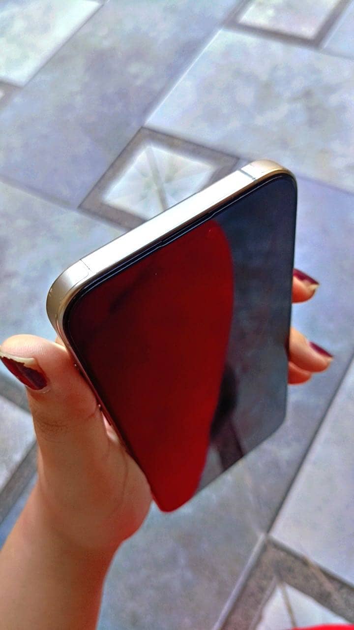 Apple iPhone 15 Pro Max 3