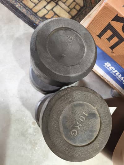 10 Kg dumbke pair