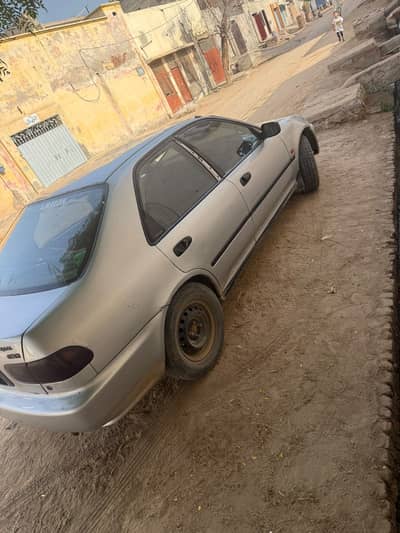 Honda civic dolphin