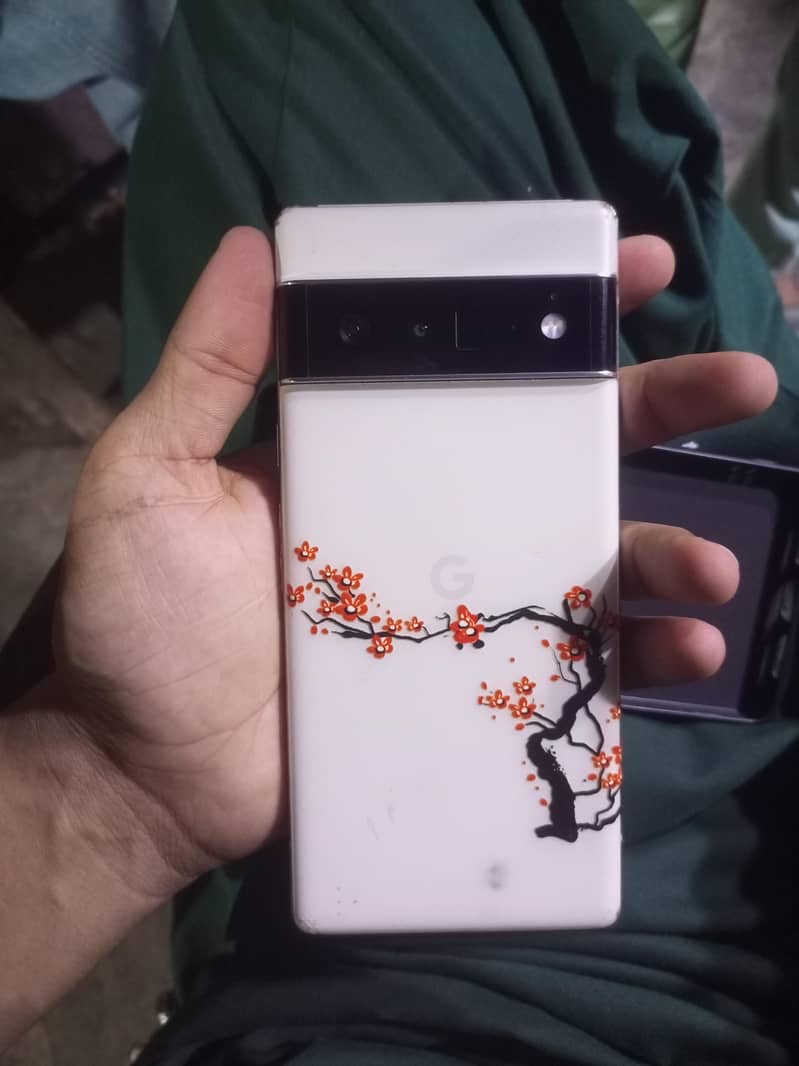Google Pixel 6 Pro 5