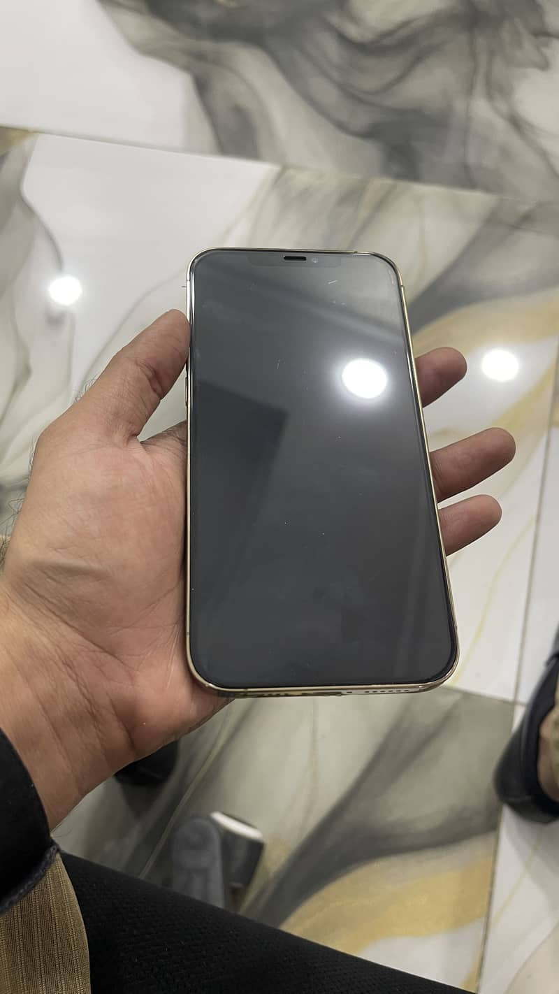 Apple iPhone 12 Pro Max 1