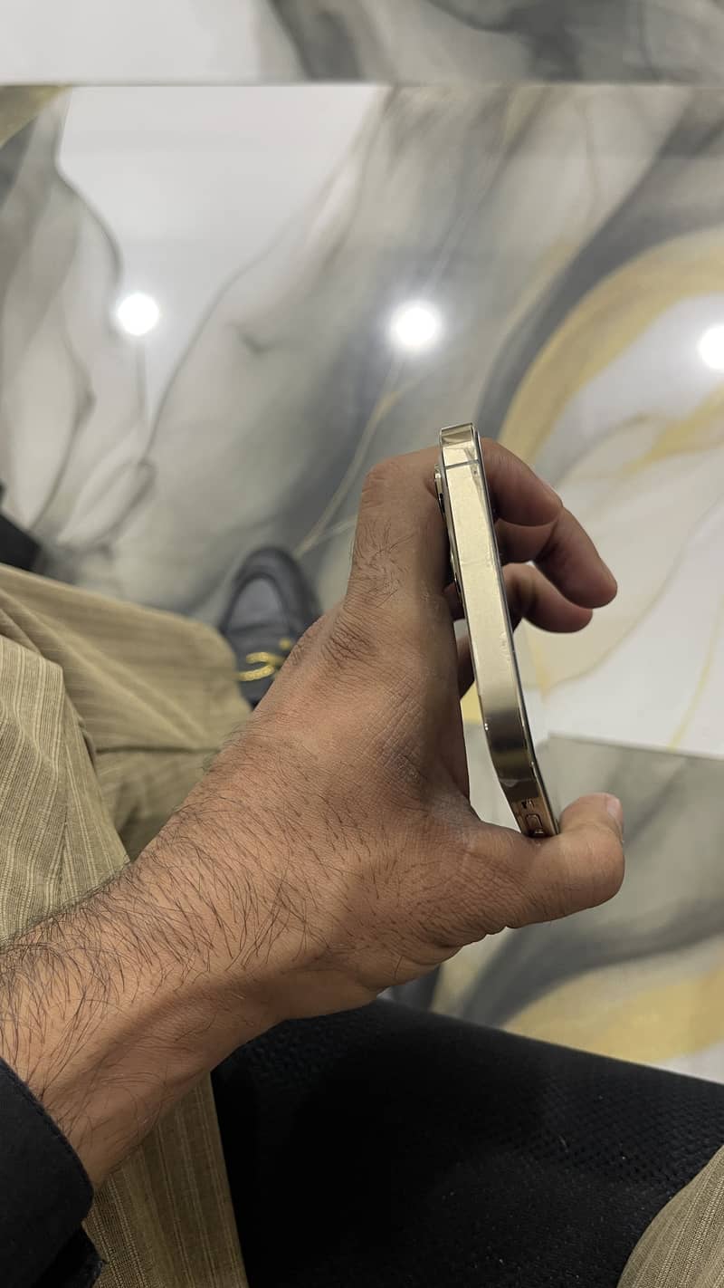 Apple iPhone 12 Pro Max 2