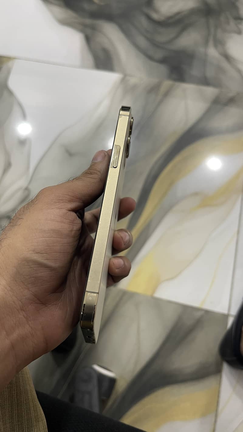 Apple iPhone 12 Pro Max 5