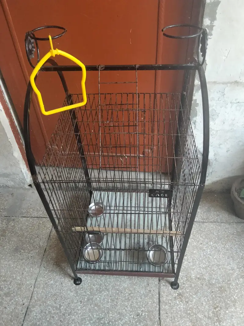 Gray parrot cage — photo 2