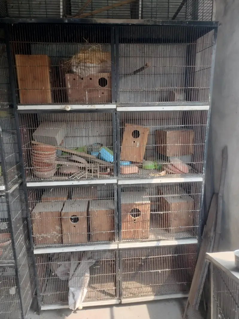 8 portion 2 cages for sale — photo 2